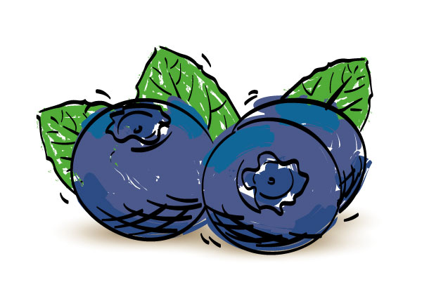 dalhousie blueberries