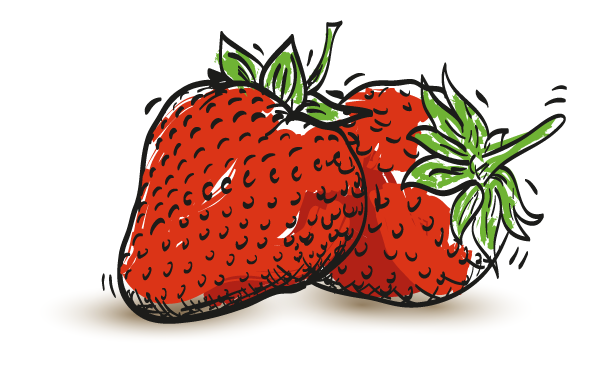 dalhousie strawberries